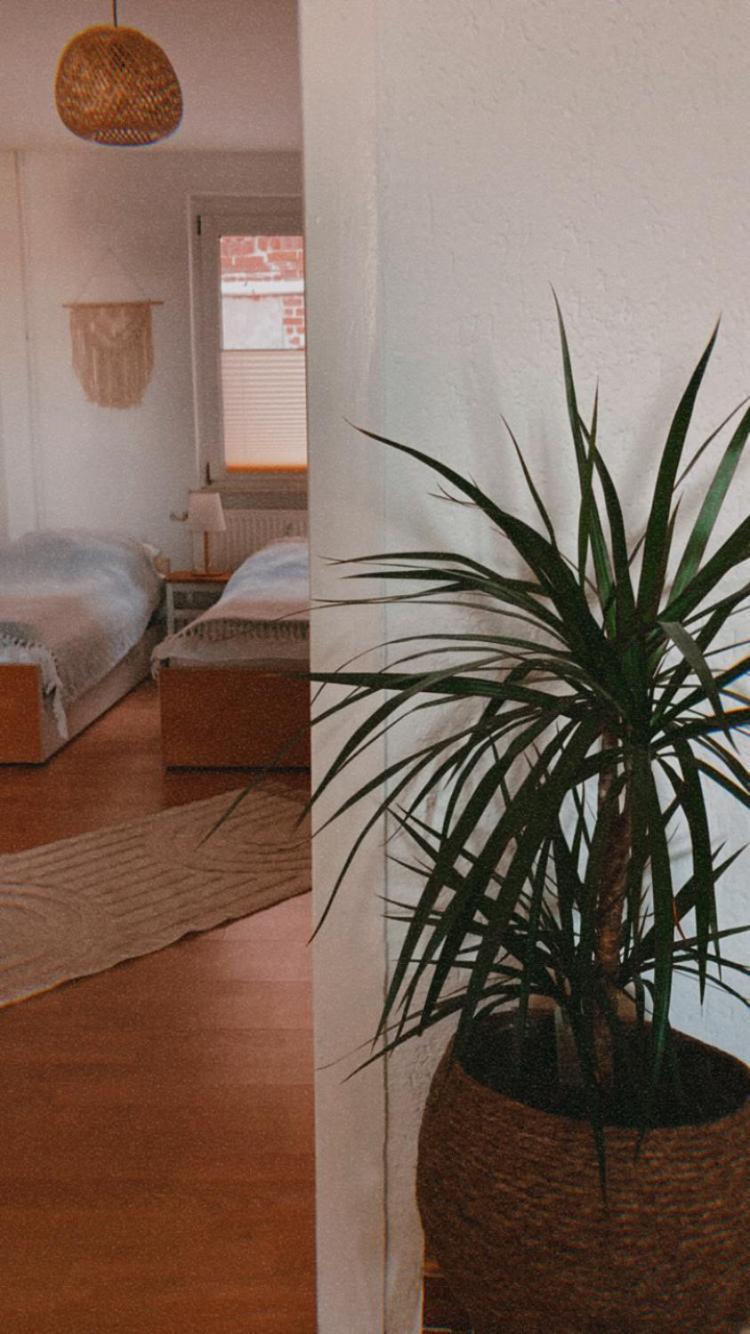 Ferienwohnung Nr. 1 Terrasse Bodden Kanu Bootssteg Zudar Екстериор снимка